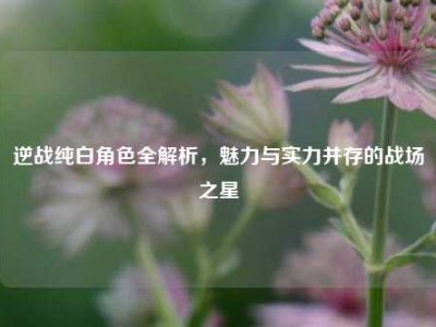 逆战纯白角色全解析，魅力与实力并存的战场之星