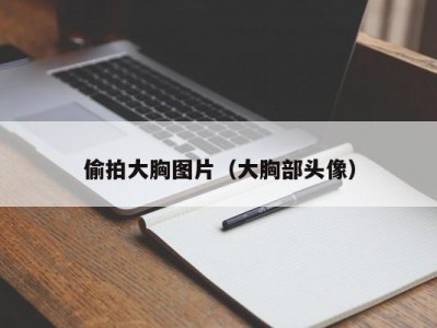 偷拍大胸图片（大胸部头像）