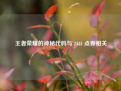 王者荣耀的神秘代码与 2131 点券相关