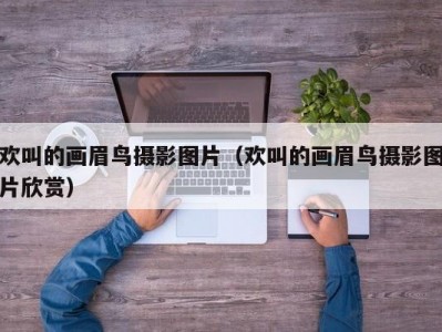 欢叫的画眉鸟摄影图片（欢叫的画眉鸟摄影图片欣赏）