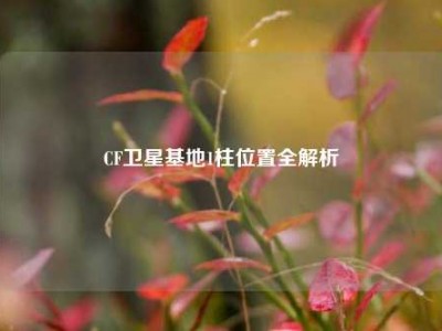 CF卫星基地1柱位置全解析