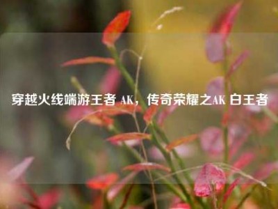 穿越火线端游王者 AK，传奇荣耀之AK 白王者