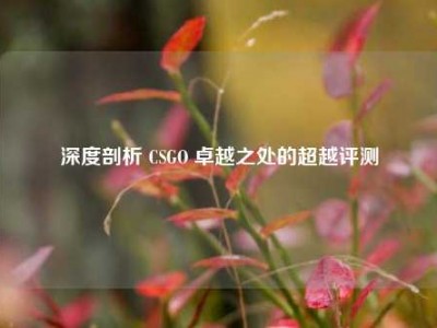 深度剖析 CSGO 卓越之处的超越评测
