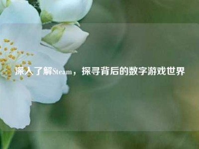 深入了解Steam，探寻背后的数字游戏世界