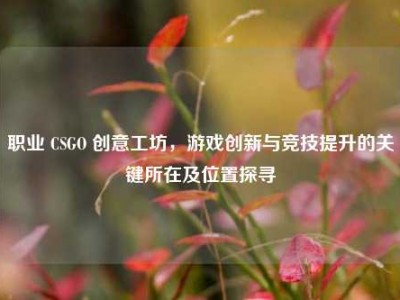 职业 CSGO 创意工坊，游戏创新与竞技提升的关键所在及位置探寻
