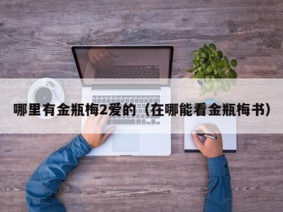 哪里有金瓶梅2爱的（在哪能看金瓶梅书）