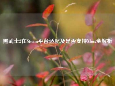 黑武士2在Steam平台适配及是否支持Xbox全解析