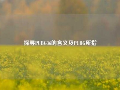 探寻PUBG36的含义及PUBG所指