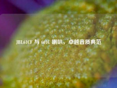 JBL61CF 与 601C 喇叭，卓越音质典范