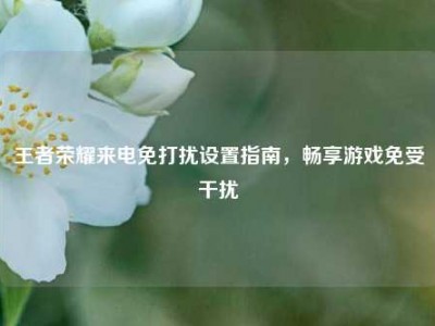 王者荣耀来电免打扰设置指南，畅享游戏免受干扰