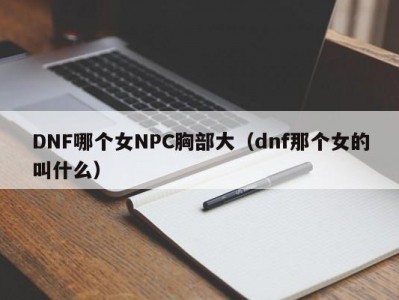 DNF哪个女NPC胸部大（dnf那个女的叫什么）