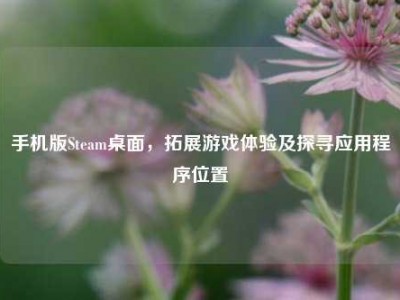 手机版Steam桌面，拓展游戏体验及探寻应用程序位置