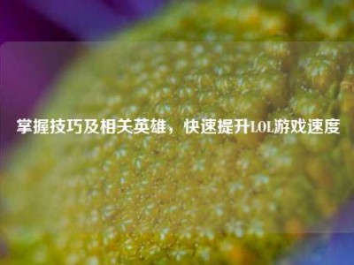掌握技巧及相关英雄，快速提升LOL游戏速度