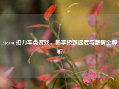 Steam 拉力车类游戏，畅享极致速度与激情全解析