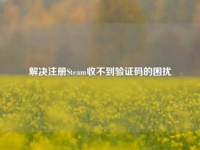 解决注册Steam收不到验证码的困扰