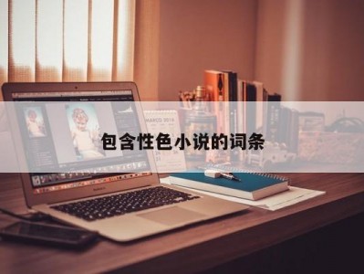 包含性色小说的词条
