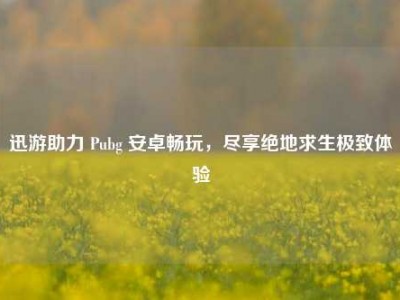 迅游助力 Pubg 安卓畅玩，尽享绝地求生极致体验
