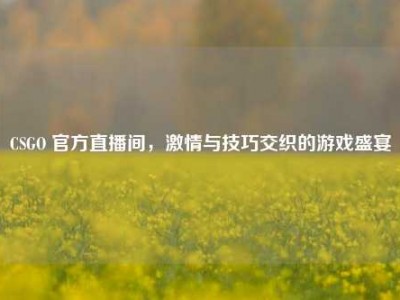 CSGO 官方直播间，     与技巧交织的游戏盛宴