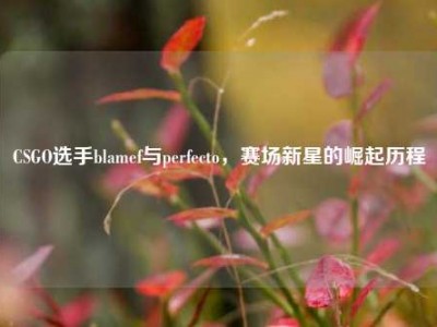 CSGO选手blamef与perfecto，赛场新星的崛起历程
