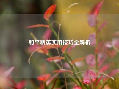 和平精英实用技巧全解析