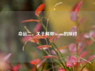 命运二，关于解绑Steam的探讨