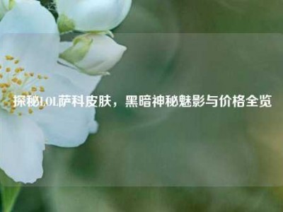 探秘LOL萨科皮肤，黑暗神秘魅影与价格全览