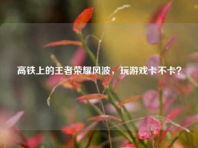 高铁上的王者荣耀风波，玩游戏卡不卡？