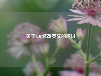 关于LOL修改英文的探讨
