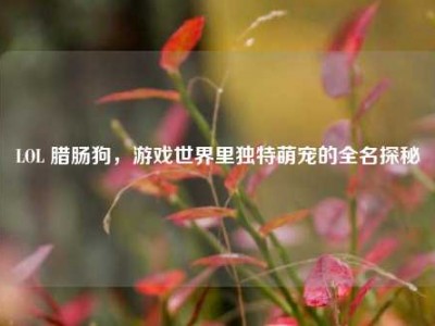 LOL 腊肠狗，游戏世界里独特萌宠的全名探秘