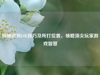 探秘若风LOL技巧及所打位置，领略顶尖玩家游戏智慧