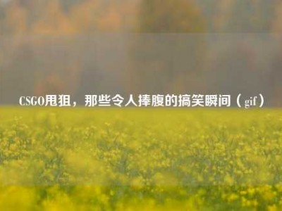 CSGO甩狙，那些令人捧腹的搞笑瞬间（gif）