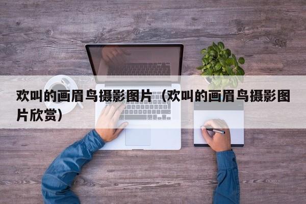 欢叫的画眉鸟摄影图片(欢叫的画眉鸟摄影图片欣赏)