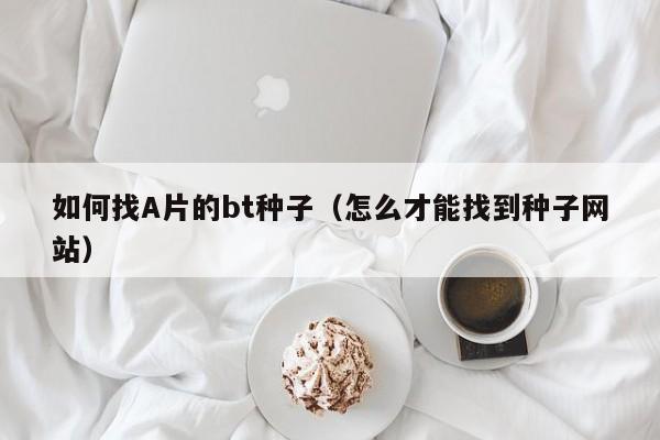 如何找A片的bt种子(怎么才能找到种子网站)