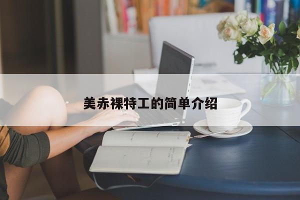 美赤裸特工的简单介绍