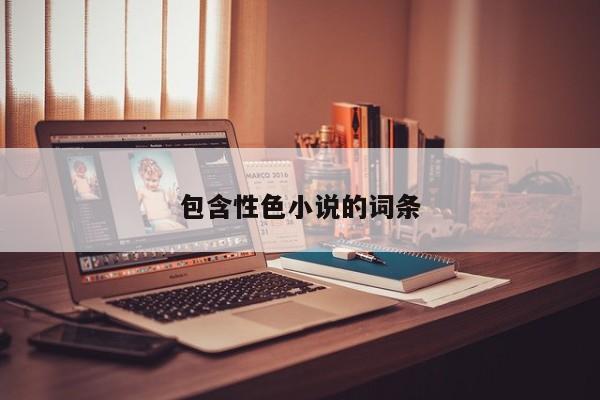 包含性色小说的词条