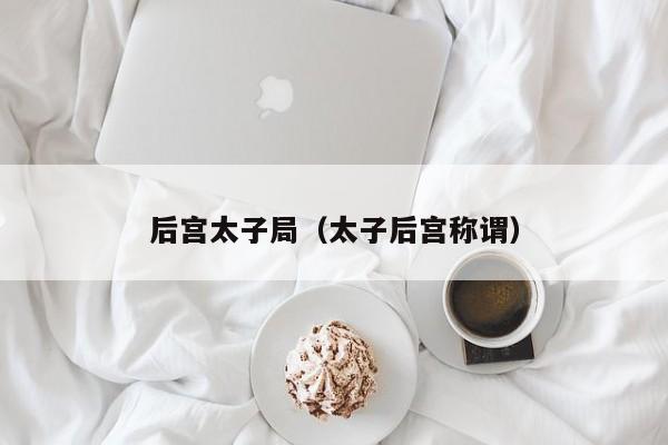 后宫太子局(太子后宫称谓)