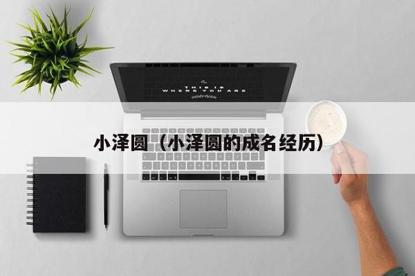 小泽圆(小泽圆的成名经历)