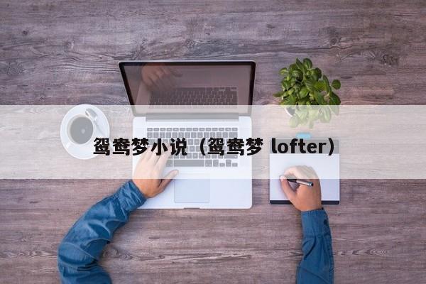鸳鸯梦小说(鸳鸯梦 lofter)