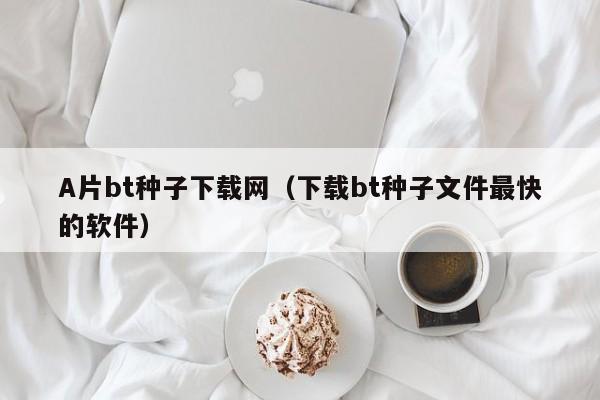 A片bt种子下载网(下载bt种子文件最快的软件)