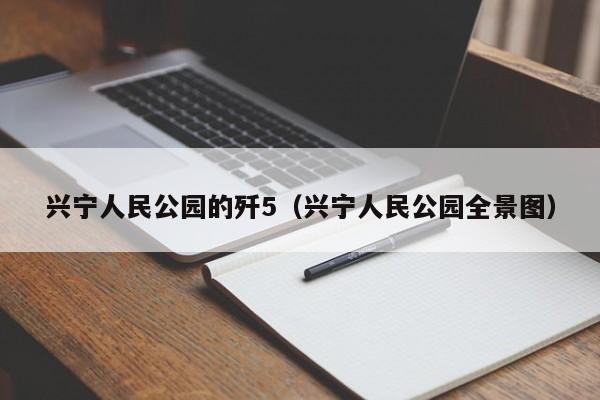 兴宁人民公园的歼5(兴宁人民公园全景图)