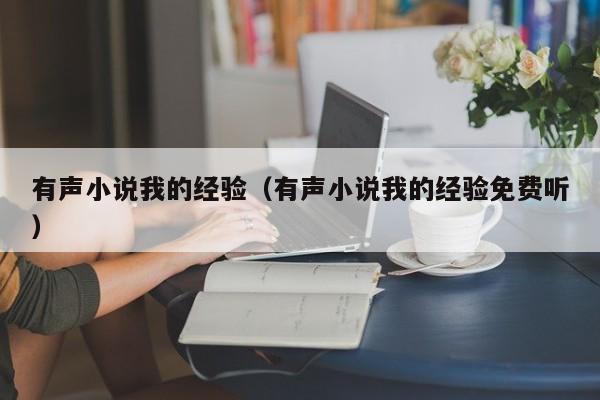 有声小说我的经验(有声小说我的经验免费听)