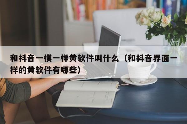和抖音一模一样黄软件叫什么(和抖音界面一样的黄软件有哪些)