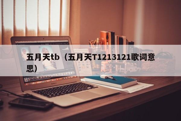 五月天tb(五月天T1213121歌词意思)