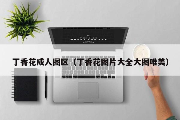 丁香花成人图区(丁香花图片大全大图唯美)