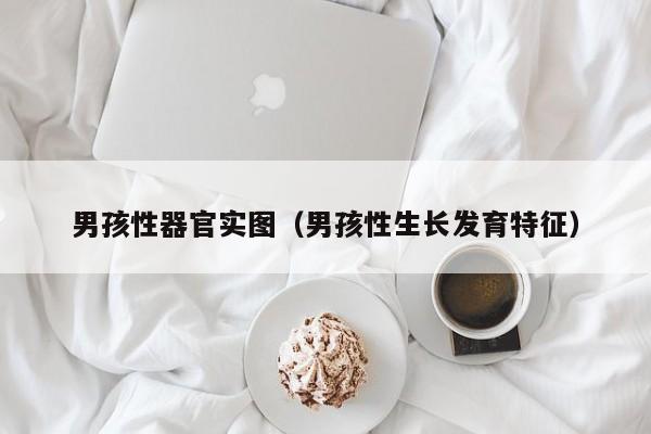 男孩性器官实图(男孩性生长发育特征)