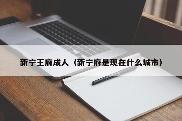 新宁王府成人(新宁府是现在什么城市)