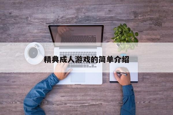精典成人游戏的简单介绍