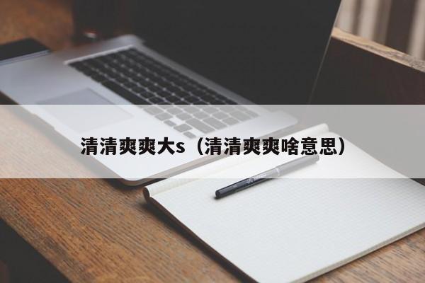 清清爽爽大s(清清爽爽啥意思)