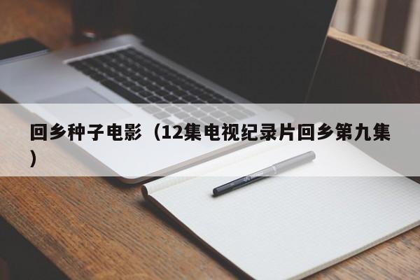 回乡种子电影(12集电视纪录片回乡第九集)