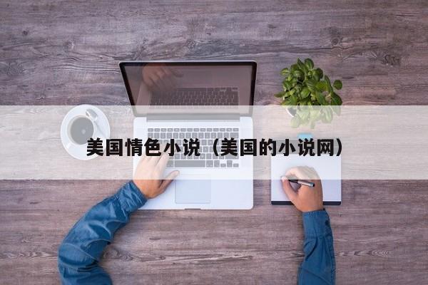 美国情色小说(美国的小说网)